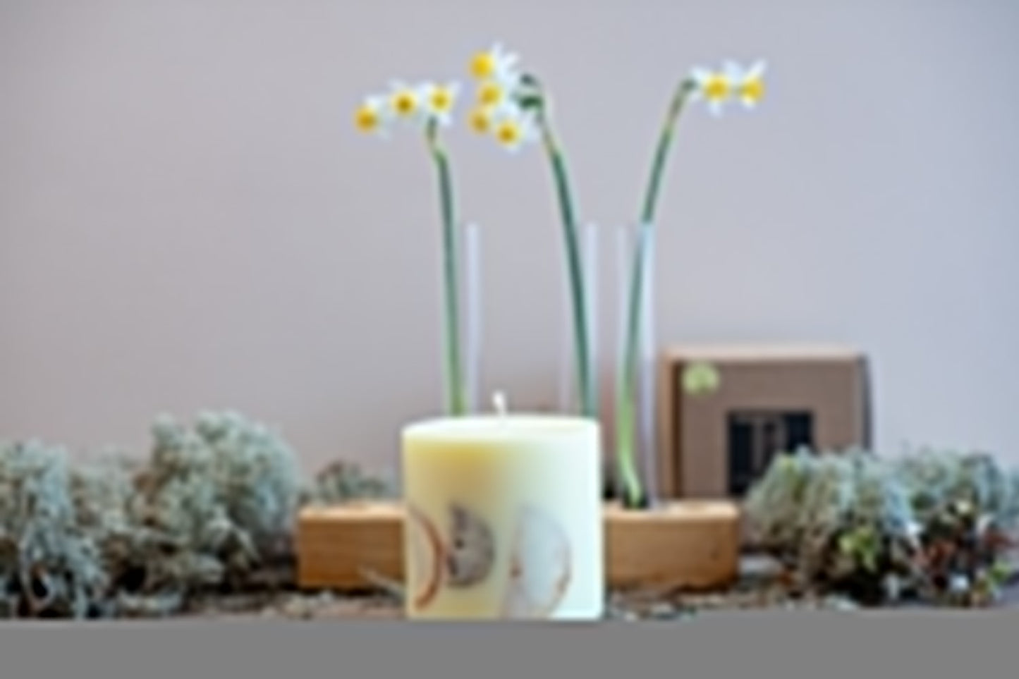 Hand-made Soy Wax Candle with Light Vanilla Scent