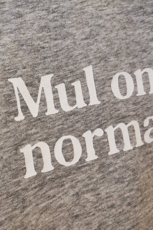 Mul on praegu normaalne №4 - Grey