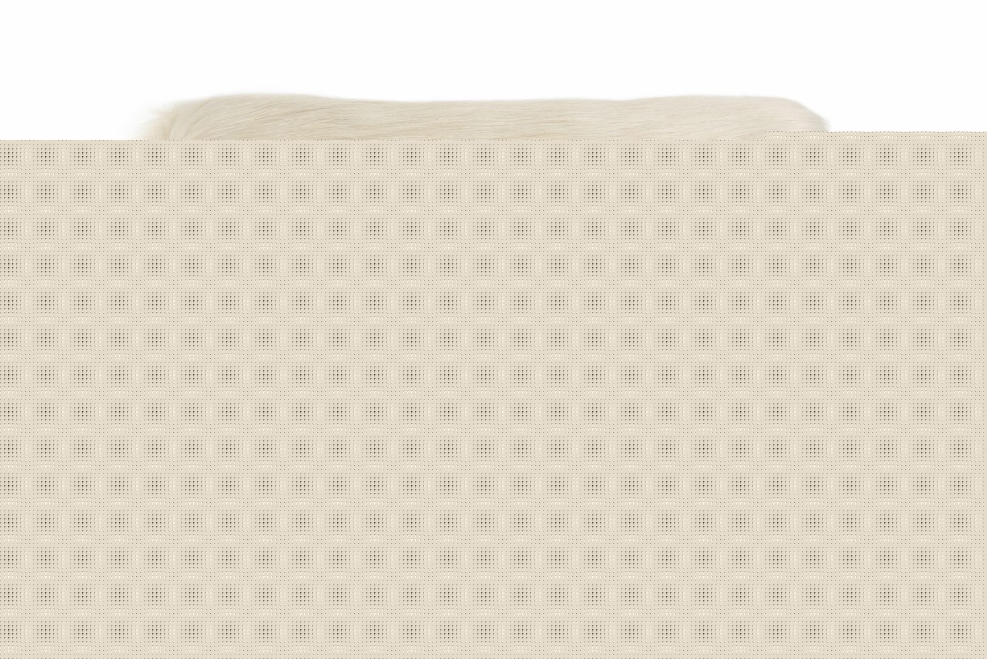 Föra Blanket - White 