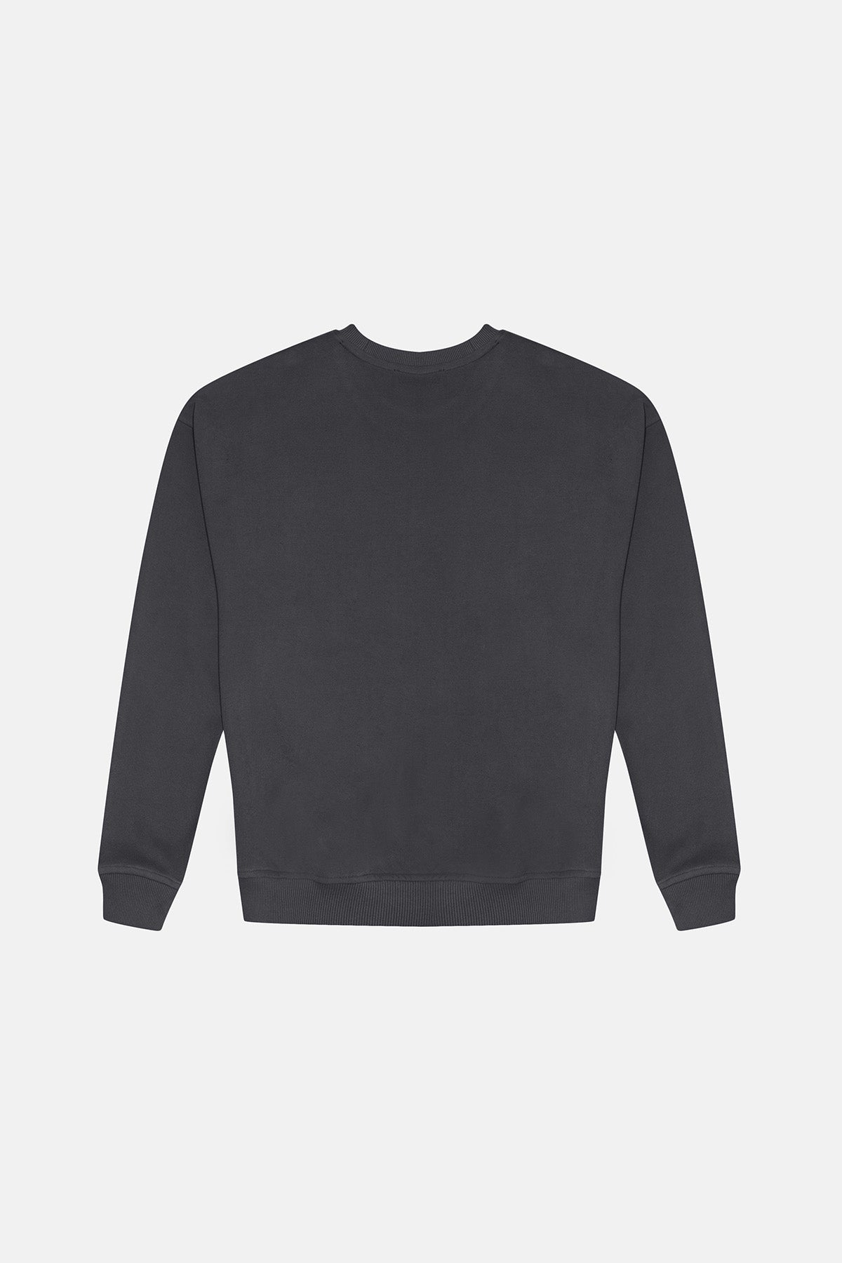 Lion Sweatshirt - Anthracite